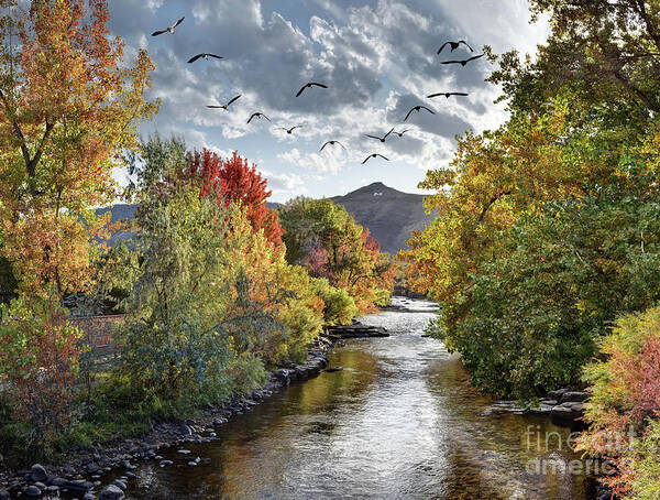 Clear Creek Art Print featuring the photograph Clear Creek in the Fall by Andrew Terrill
