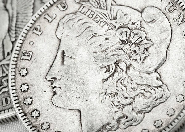 Antique Art Print featuring the photograph Coin Collecting - Morgan Dollar Face Side by Amelia Pearn