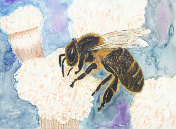 Honey Bee Art Print featuring the painting Collection Agent - Honey Bee on Flower by Conni Schaftenaar