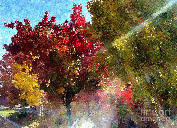 Colors Art Print featuring the photograph Colors of the Season by Katherine Erickson