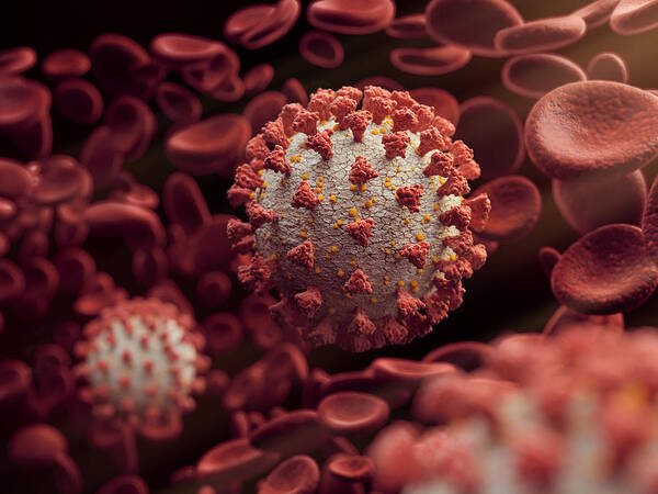 Cold And Flu Art Print featuring the photograph Coronavirus around blood cells by Radoslav Zilinsky