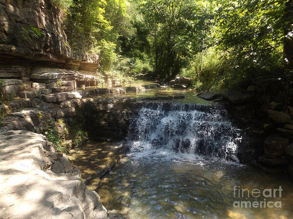 Creek Art Print featuring the photograph Cove Creek 2021 by David Neace CPX