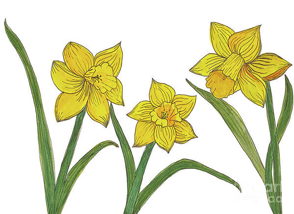 Daffodils Art Print featuring the mixed media Daffodils by Lisa Neuman
