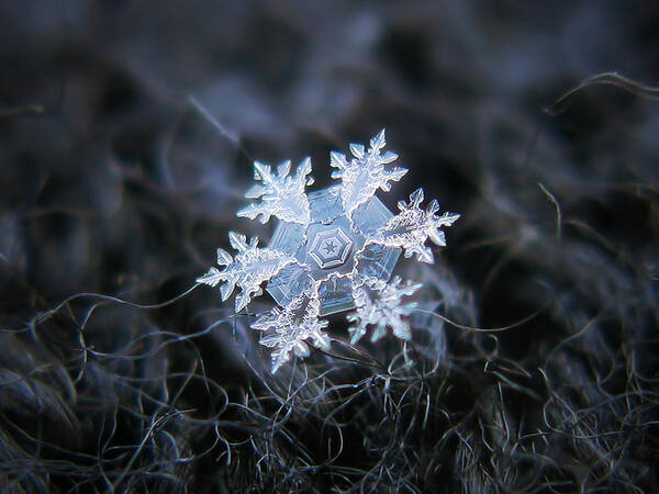 Snowflake Art Print featuring the photograph Dark side by Alexey Kljatov