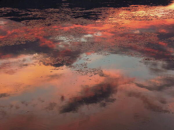 Sunset Art Print featuring the photograph Deep Reflection by Leslie Porter