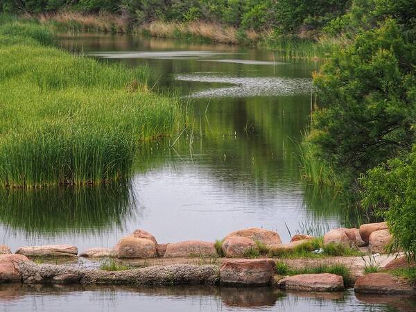 Downstream Art Print featuring the photograph Downstream Beauty by Buck Buchanan