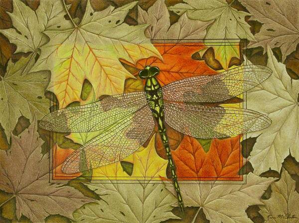 Kim Mcclinton Art Print featuring the drawing Dragonfly Fall by Kim McClinton