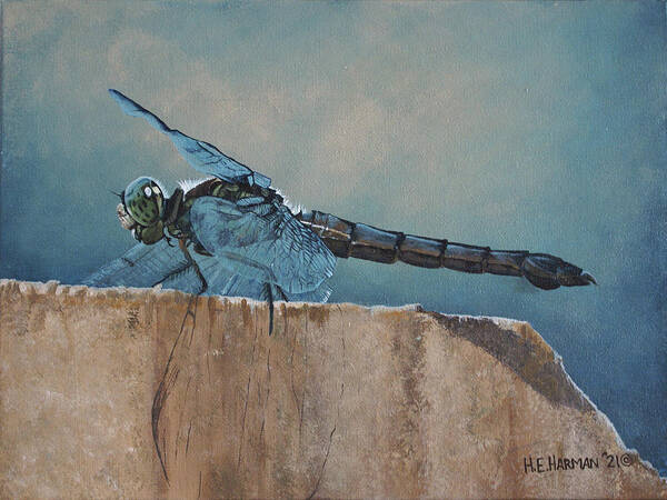 Dragonfly Art Print featuring the painting Dragonfly by Heather E Harman