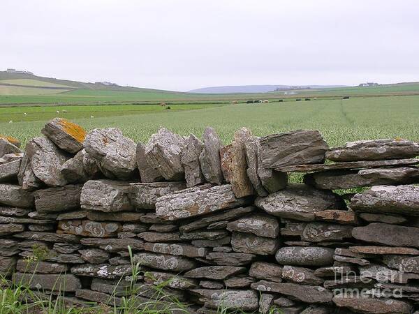 Stone Wall Art Print featuring the photograph Dry Stone Walling - Orkney UK by Lesley Evered