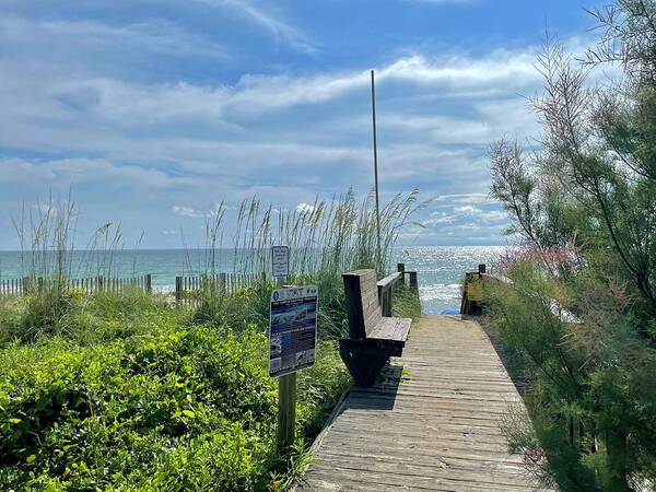 Landscape Art Print featuring the photograph Dune Boardwalk by Charles Kraus