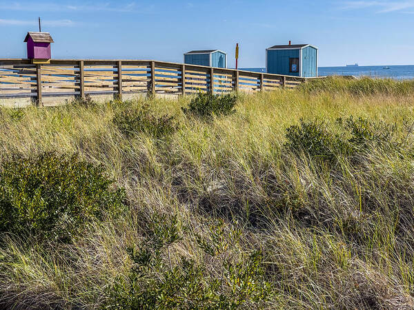 Long Beach Art Print featuring the photograph Dune Grass and Sea by Cate Franklyn