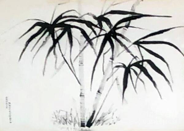 Black India Ink Art Print featuring the painting Fantasia - Sumi Ink by Catherine Ludwig Donleycott