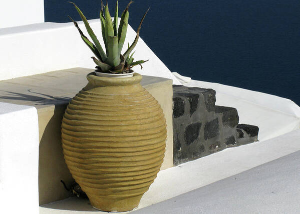 Santorini Art Print featuring the photograph Flower Pot in Santorini by Doug Matthews