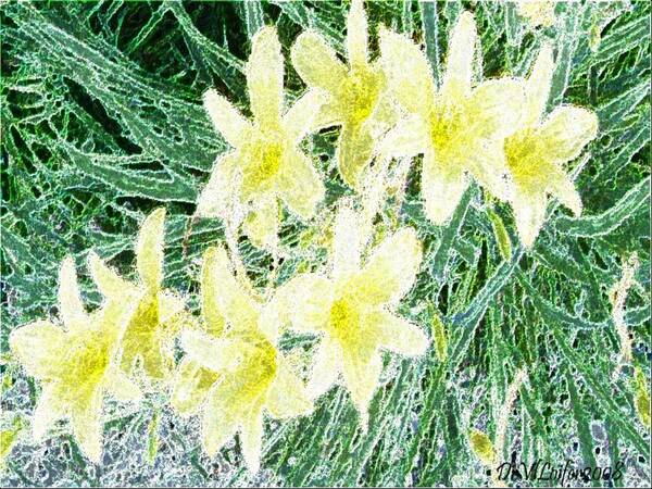 Flowers Art Print featuring the digital art Flowers.First frost by Dr Loifer Vladimir