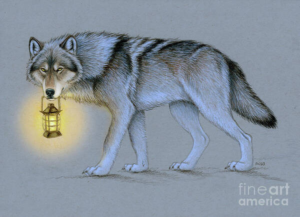 Wolf Art Print featuring the drawing Follow Me - Wolf and Lantern by Rebecca Wang