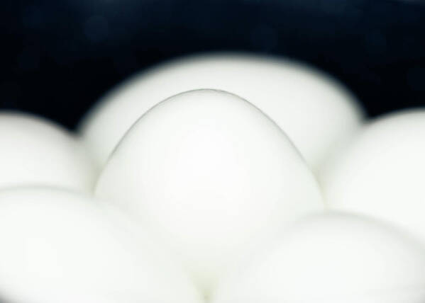 Egg Art Print featuring the photograph Food Photography - Eggs on Black by Amelia Pearn