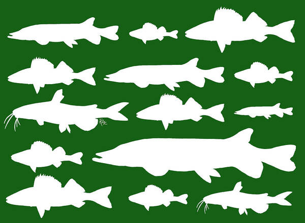 Freshwater Fish Art Print featuring the digital art Freshwater fishes on Christmas Green by Rebecca Eberts