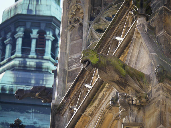 Czech Republic Art Print featuring the photograph Gargoyle Saint Vitus Cathedral by Mary Lee Dereske