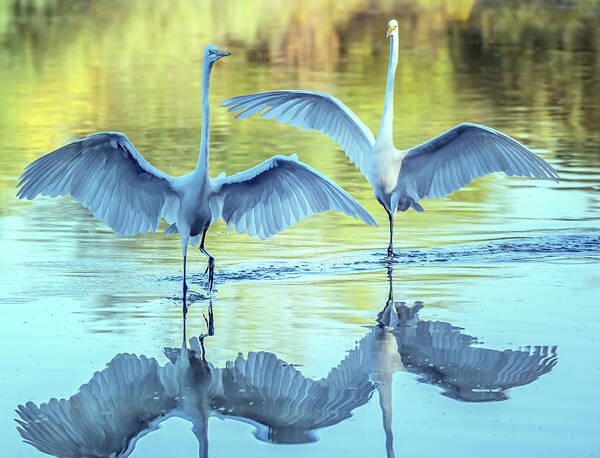 Great Egret Art Print featuring the photograph Great Egrets 3492-100620-2 by Tam Ryan