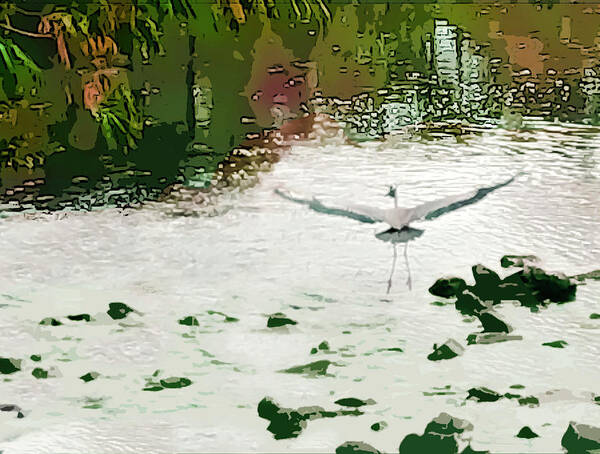 Bird In Flight Art Print featuring the photograph How To Fly by Edward Shmunes