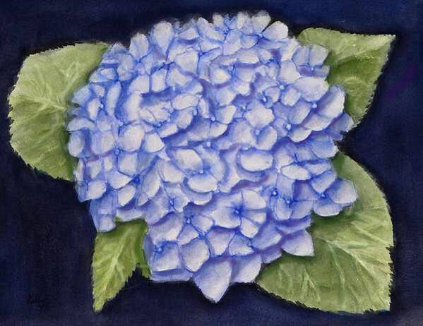 Hydrangea Art Print featuring the painting Hydrangea Flower with Blue Background by Kelly Mills