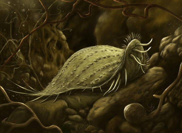 Protozoa Art Print featuring the digital art Hypotrich ciliate by Kate Solbakk