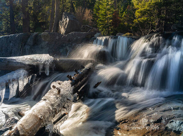 Waterfall Art Print featuring the photograph Icy falls by Devin Wilson