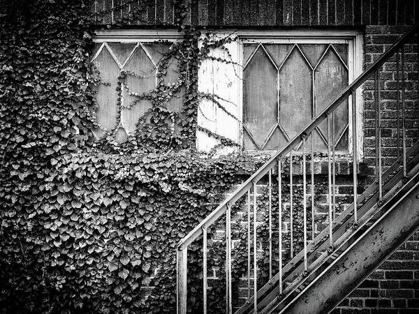  Art Print featuring the photograph Ivy, Window And Stairs by Steve Stanger