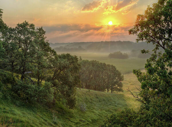 Summer Landscapes Art Print featuring the photograph July Morning Along the Ridge by Bruce Morrison