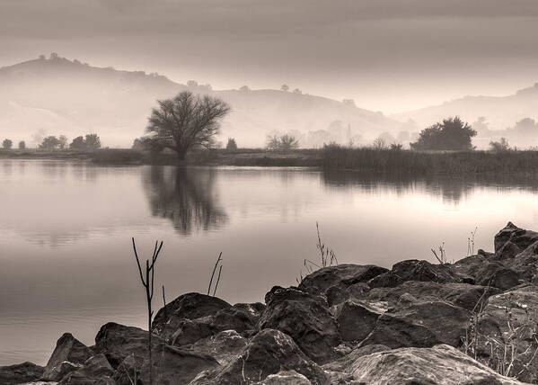 Vacaville Art Print featuring the photograph Lake and rolling hills in the fog by Alessandra RC