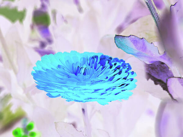 Beautiful Art Print featuring the digital art Large blue Flower on Blue and Purple by David Desautel
