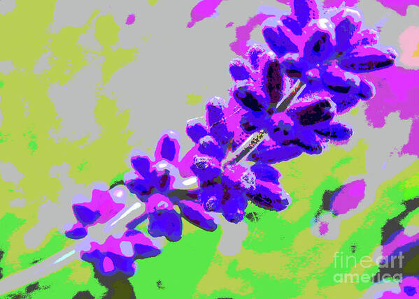 Lavender Art Print featuring the digital art Lavender Blue by Mimulux Patricia No