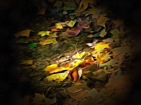 Leaves Art Print featuring the photograph Leaves in the Creek by Christopher Reed