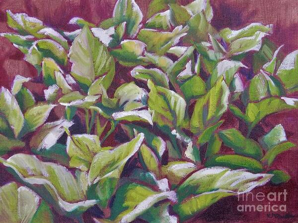 Spring Art Print featuring the painting Leaves of Green by K M Pawelec