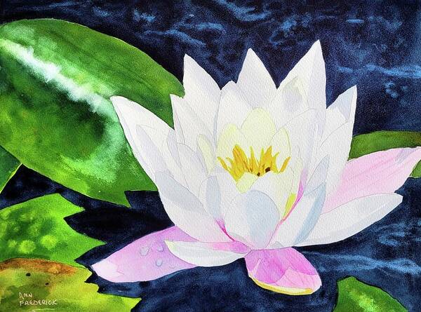 White Flower Art Print featuring the painting Lilly Pad Flower by Ann Frederick