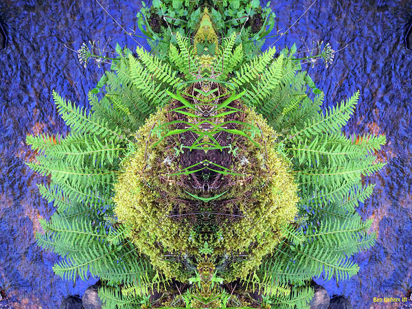 Nature Art Print featuring the photograph Magical Fern Mirror #1 by Ben Upham III
