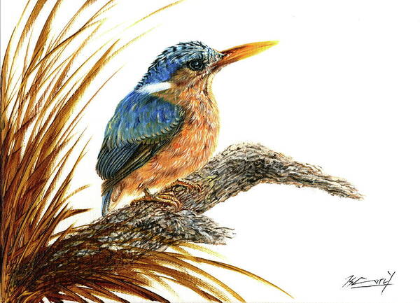 Malachite Kingfisher Art Print featuring the painting Malachite Kingfisher by Keith Carey