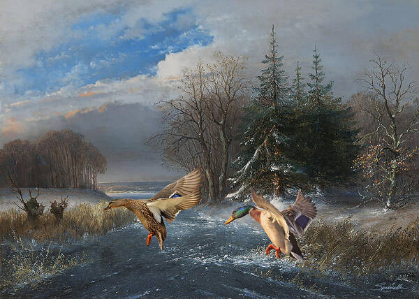 Bird Art Print featuring the digital art Mallards in the Winter by M Spadecaller