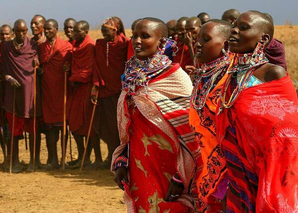 Brilliant Red Art Print featuring the photograph Masai Women by Gene Taylor
