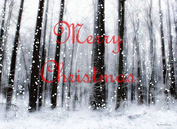 Christmas Art Print featuring the photograph Merry Christmas at the Woods of Nimisila by Mary Walchuck