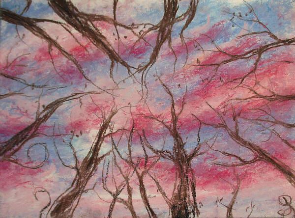 Forest Sky Art Print featuring the painting Midts by Jen Shearer