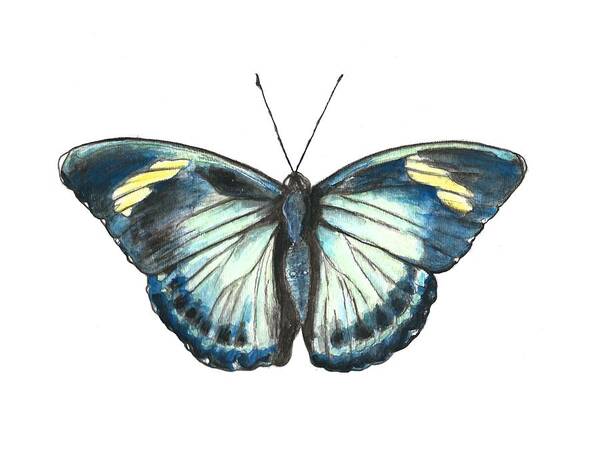 Butterfly Art Print featuring the painting Morpho Butterfly by Pamela Schwartz