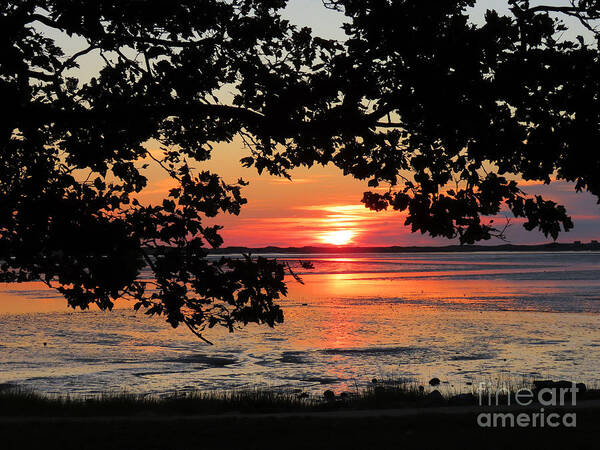 Sunrise Art Print featuring the photograph Nelson Park August sunrise by Janice Drew