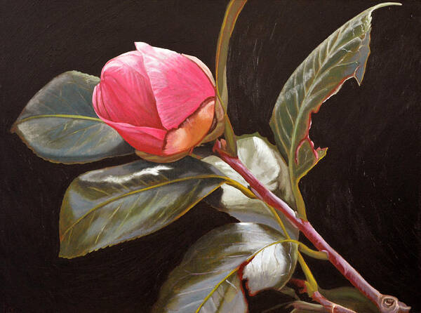 Rose Art Print featuring the painting November Rose by Thu Nguyen