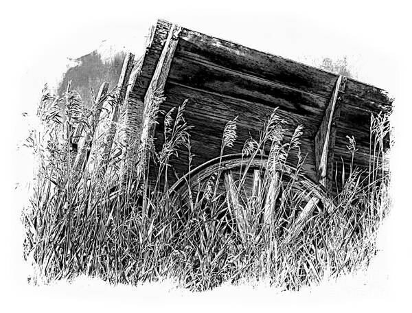 2133f Art Print featuring the photograph Old Wagon In The Tall Grass BW by Al Bourassa