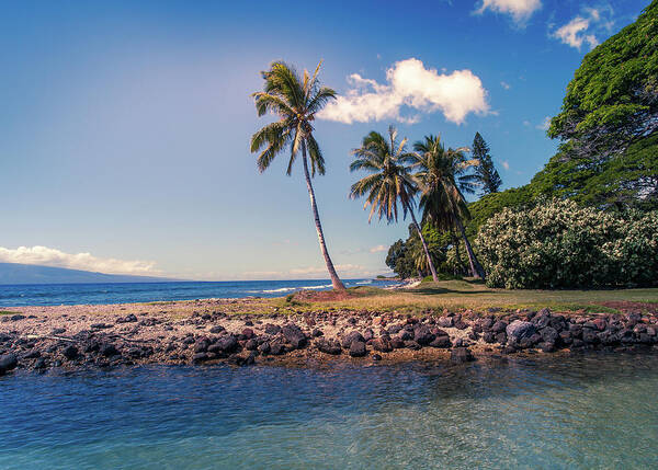 Maui Art Print featuring the photograph Olowalu Bay by Chris Spencer