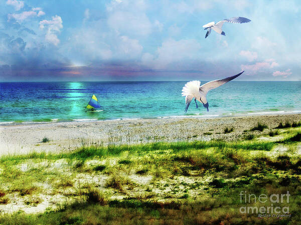 Beach Art Print featuring the digital art On Canvas Wings I Fly by Rhonda Strickland