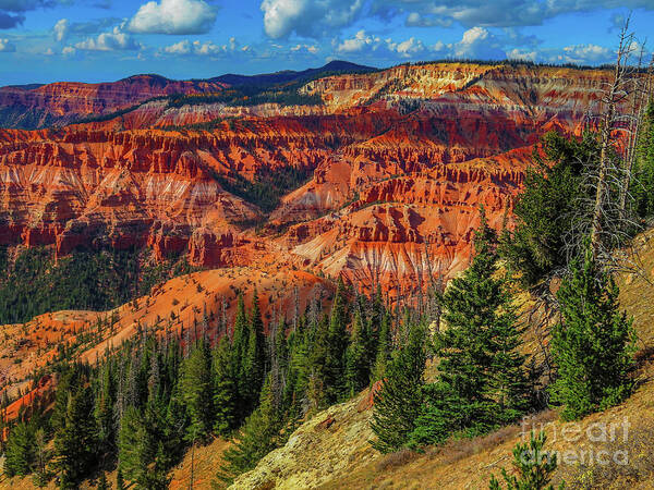Landscape Art Print featuring the photograph Orange Land by Seth Betterly