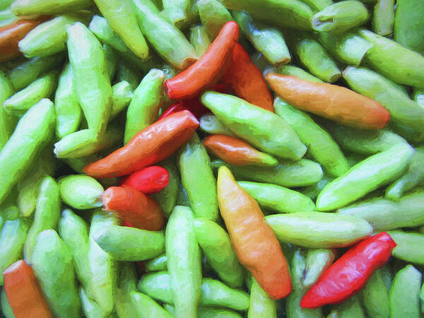 Red Art Print featuring the photograph Orange Red and Green Tabasco Peppers by Kathy Clark