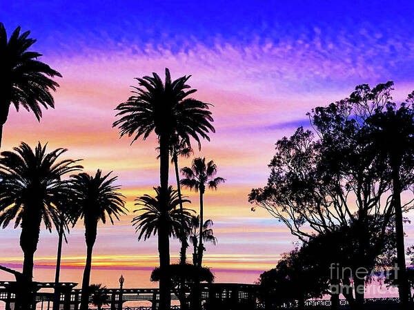 Sunset Art Print featuring the photograph Palm Sunset - No. 1 by Doc Braham
